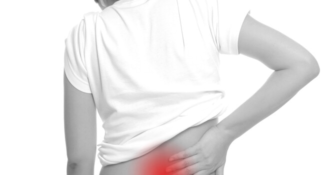 Low Back Pain Guide